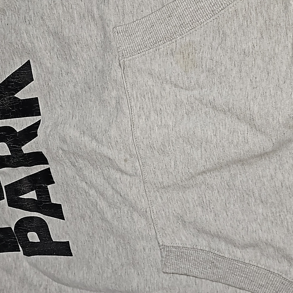 IVY PARK Beyoncé Logo Hoodie Sweatshirt Oversized - Picture 3 of 6